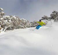 Mt Buller and Mt Stirling Alpine Resort - Hotel Gold Coast