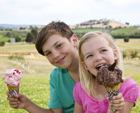 Yarra Valley Chocolaterie & Ice Creamery - Hotel Gold Coast 6