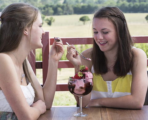 Yarra Valley Chocolaterie & Ice Creamery - Hotel Gold Coast 8