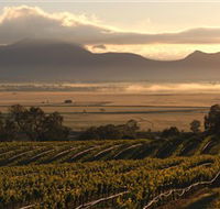 Montara Wines - Hotel Gold Coast