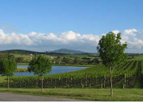 Yarrawood Estate - Hotel Gold Coast 0