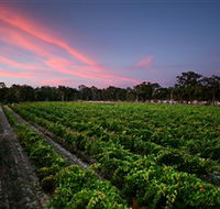 Amherst Winery - Hotel Gold Coast