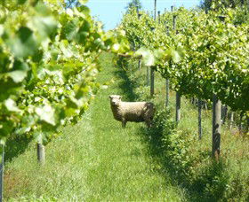 Passing Clouds - Hotel Gold Coast 0