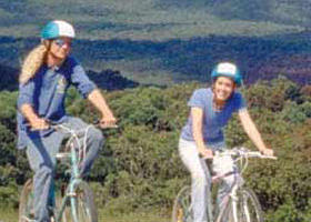 Lysterfield Park - Hotel Gold Coast 0