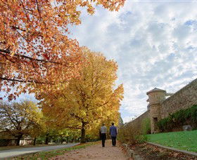 Beechworth Historic And Cultural Precinct - Hotel Gold Coast 0