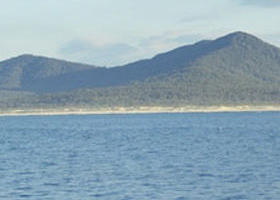 Gabo Island - Hotel Gold Coast 0