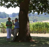 Five Oaks Vineyard - Hotel Gold Coast