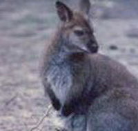 Churchill National Park - Hotel Gold Coast