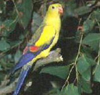 Lake Hindmarsh Reserve - Hotel Gold Coast