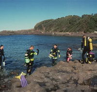 Bushrangers Bay Aquatic Reserve - Hotel Gold Coast