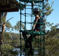 Trees Adventure Shoalhaven - Hotel Gold Coast