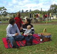 Blackbutt Forest Reserve - Hotel Gold Coast