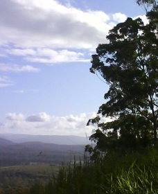 Sherwood Nature Reserve - Hotel Gold Coast 0