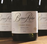 Briar Ridge Vineyard - Hotel Gold Coast