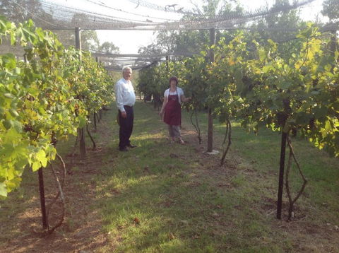 Holland Wines - Hotel Gold Coast 8