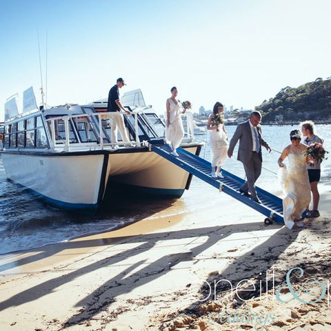 H2O Maxi Taxis - Hotel Gold Coast 3