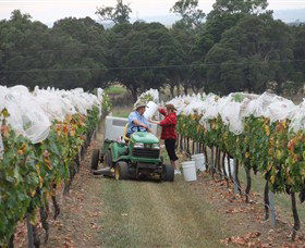 Razorback Ridge Wines - Hotel Gold Coast 7