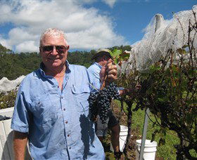Razorback Ridge Wines - Hotel Gold Coast 8