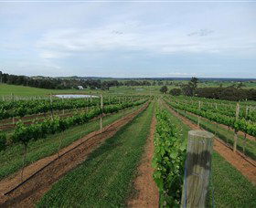 Razorback Ridge Wines - Hotel Gold Coast 1