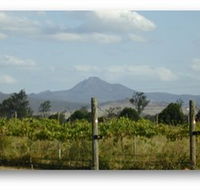 Ironbark Ridge Vineyard - Hotel Gold Coast