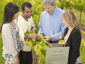 Jacob's Creek Vineyard Tour - Hotel Gold Coast 0