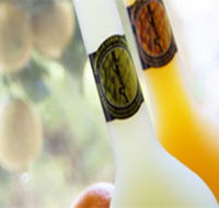 Ambra Limoncello - Hotel Gold Coast