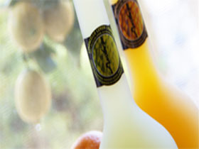 Ambra Limoncello - Hotel Gold Coast 0