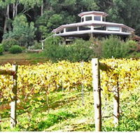 Peveril Vineyard/Beechy Berries - Hotel Gold Coast