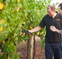 Fratin Brothers Vineyard - Hotel Gold Coast
