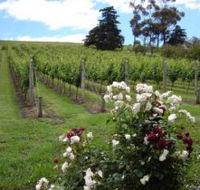 Pembroke Estate Vineyard - Hotel Gold Coast