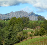 Lake Barrington Vineyard - Hotel Gold Coast