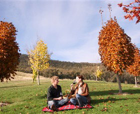 Gapsted Wines - Hotel Gold Coast 5