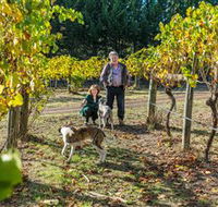 Little River Wines of Taggerty - Hotel Gold Coast