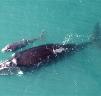 Fazshot Photography - Hotel Gold Coast