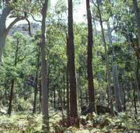 Cathedral Range State Park - Hotel Gold Coast