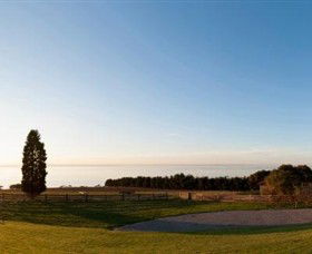 Jack Rabbit Vineyard - Hotel Gold Coast 3