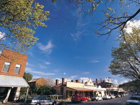 Drysdale Cheeses - Hotel Gold Coast 1