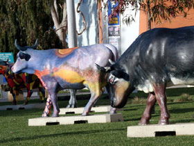 Drysdale Cheeses - Hotel Gold Coast 6