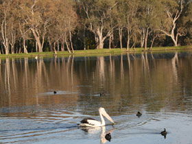 Drysdale Cheeses - Hotel Gold Coast 7