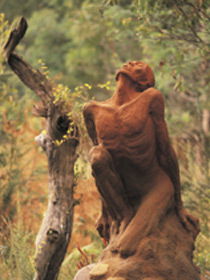 Drysdale Cheeses - Hotel Gold Coast 10