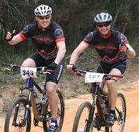 Trailhead Bike Co. - Hotel Gold Coast