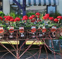 Van Loon's Nursery - Hotel Gold Coast