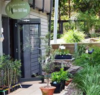 The Lighthouse Olive Mill Shop - Hotel Gold Coast