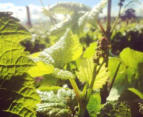 Punt Road Winery - Hotel Gold Coast 0