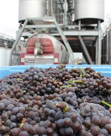 Punt Road Winery - Hotel Gold Coast 4