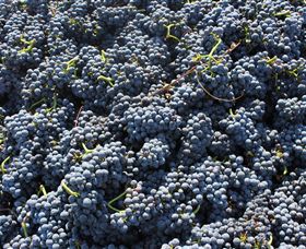 Punt Road Winery - Hotel Gold Coast 6