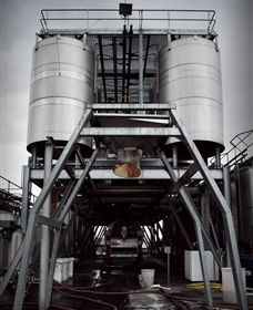 Punt Road Winery - Hotel Gold Coast 8