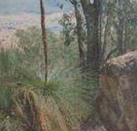 Mount Lawson State Park - Hotel Gold Coast