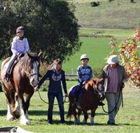 Bathurst Farm Experience - Hotel Gold Coast
