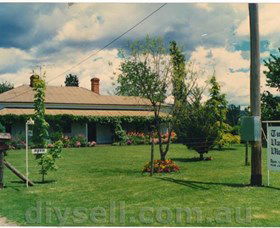 Tumut Valley Violets - Hotel Gold Coast 0